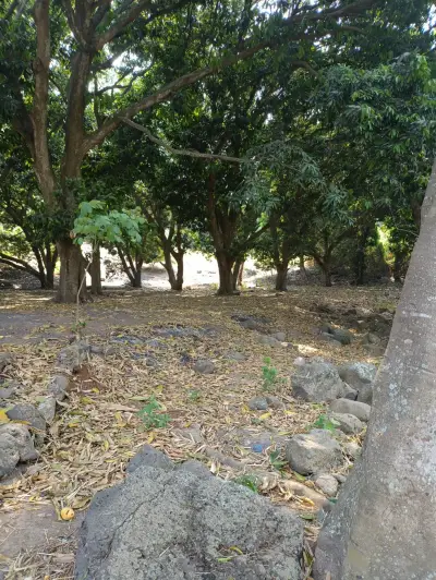 Terreno en venta en Actopan - foto 2