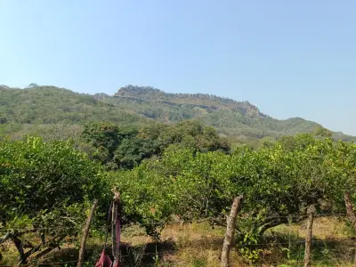 Terreno en venta en Actopan - foto 4