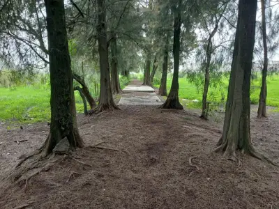 Terreno en venta en Ecatepec - foto 3