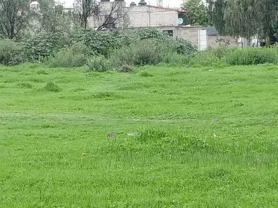 Terreno en venta en Ecatepec - foto 5