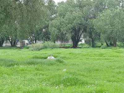 Terreno en venta en Ecatepec - foto 4