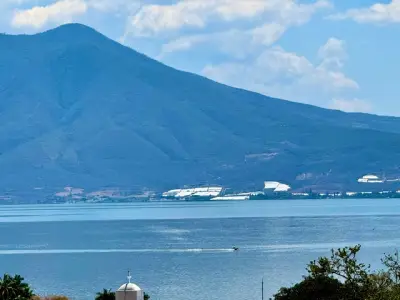 Vista única