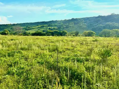 Terreno en venta en Jocotepec - foto 4