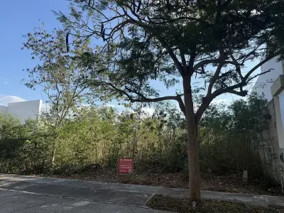 Venta de terreno en Conkal arborea merida Yucatan
