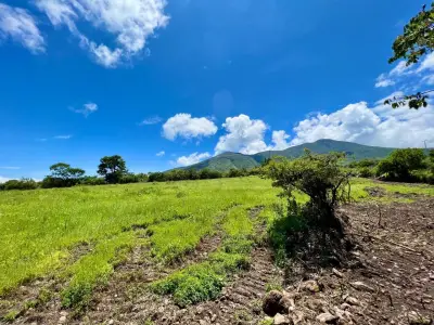 Terreno en venta en Jocotepec - foto 4