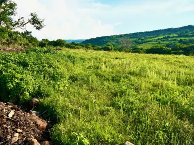 Terreno en venta en Jocotepec - foto 3
