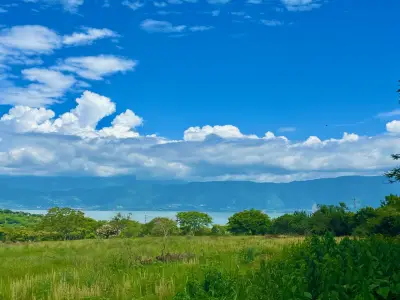 Great & affordable, lot b