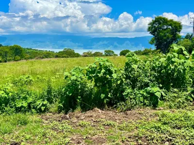 Terreno en venta en Jocotepec - foto 5