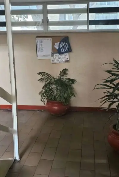 Departamento en venta en Coyoacán - foto 4