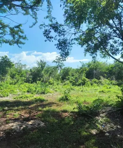 Terreno en venta en Dzidzantún - foto 4