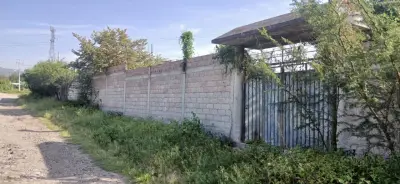 Terreno en venta en Morelos - foto 3