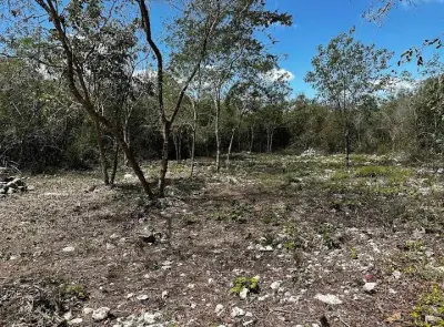 Terreno en venta en Dzidzantún - foto 3