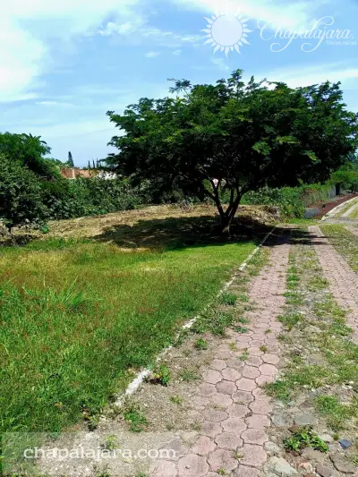 Terreno en venta en Jocotepec - foto 2
