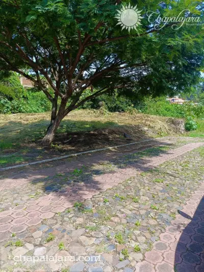 Terreno en venta en Jocotepec - foto 5