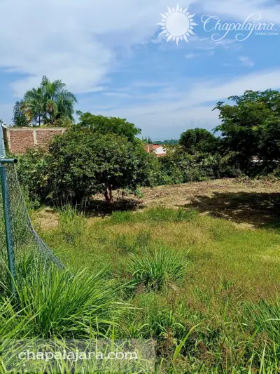Terreno en venta en Jocotepec - foto 3