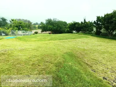 Terreno en venta en Jocotepec - foto 2