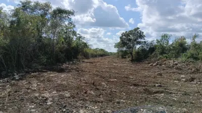 Terreno en venta en Hunucmá - foto 3
