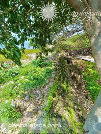 Terreno en venta en Poncitlán - foto 5
