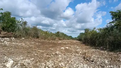 Terreno semi urbanizado