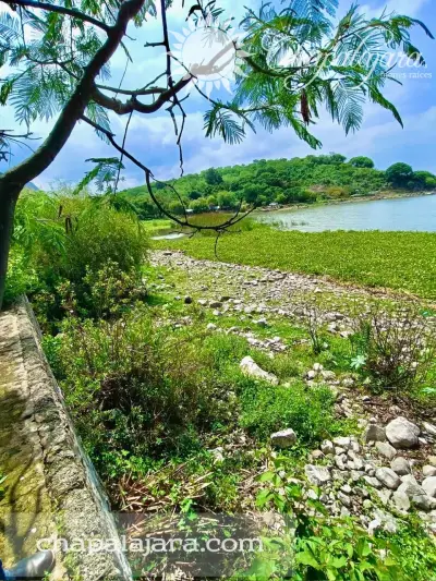 Terreno en venta en Poncitlán - foto 3