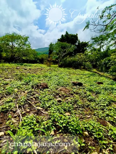 Terreno en venta en Poncitlán - foto 4