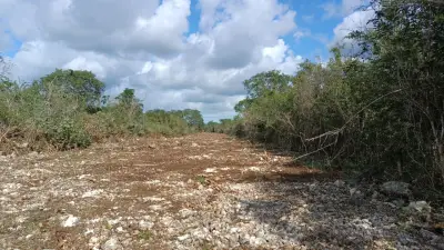 Terreno en venta en Hunucmá - foto 2