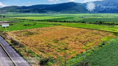 El molino 2