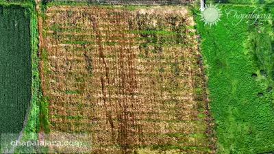 Terreno en venta en Jocotepec - foto 3