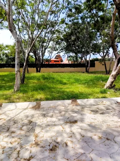 Terreno en venta en Chapala - foto 4