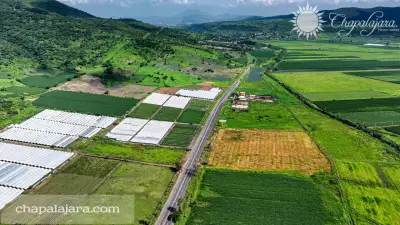 Terreno el molino