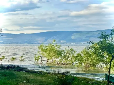 Paradise lakefront