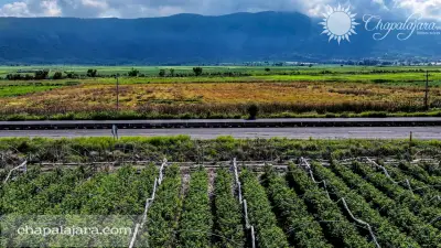 Terreno en venta en Jocotepec - foto 2