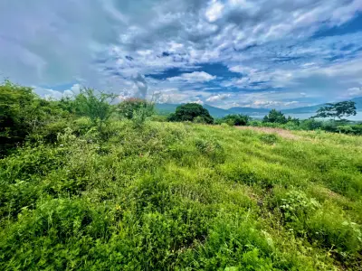 Terreno en venta en Jocotepec - foto 5