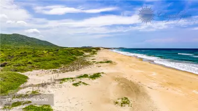 Terreno en venta en Tomatlán - foto 5