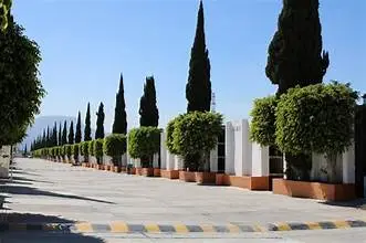 Otros inmuebles en venta en Chimalhuacán - foto 2