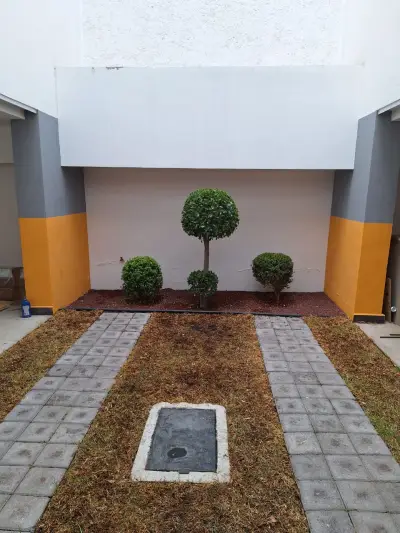 Departamento en renta en Gustavo A Madero - foto 4