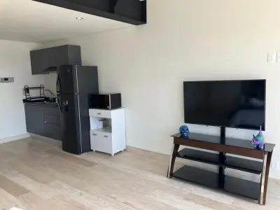 Departamento en renta en Miguel Hidalgo - foto 4