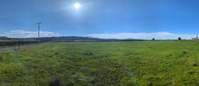 Construye tu casa de campo, o cría animales o siembra natura