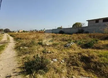Venta de terreno amado nervo, 91270 Perote, ver., colonia lo