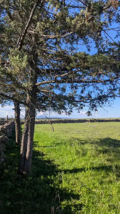 Terreno en venta en Jilotepec de Abasolo - foto 4