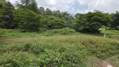 Terreno en venta en Perote - foto 3