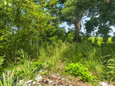 Terreno en venta en Centro - foto 4