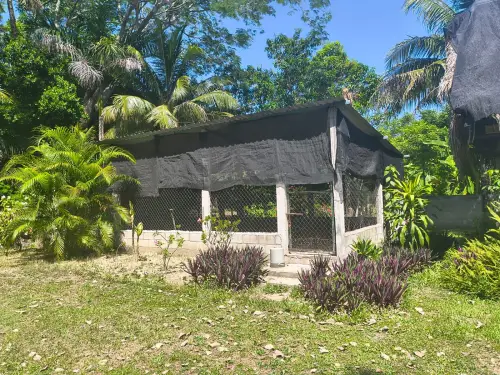 Terreno en venta en Nacajuca - foto 2