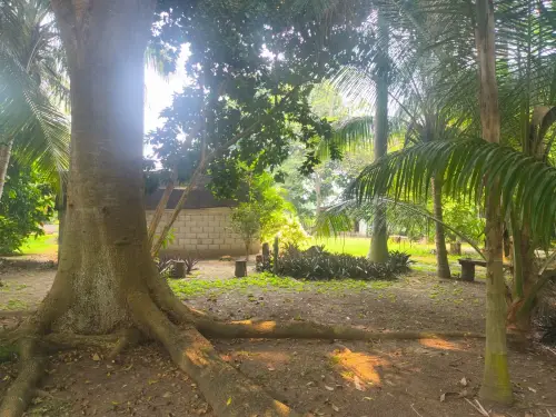 Terreno en venta en Nacajuca - foto 4