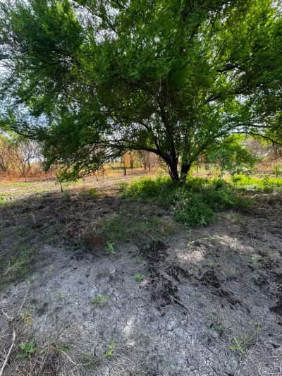 Terreno en venta en Cadereyta Jiménez - foto 3