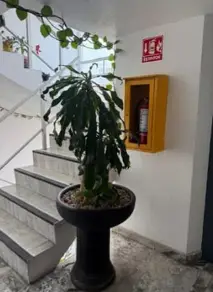 Oficina en venta en Benito Juárez - foto 2