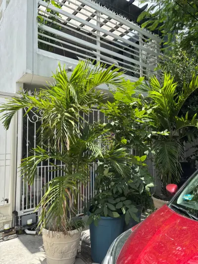Casa en venta en Apodaca - foto 4