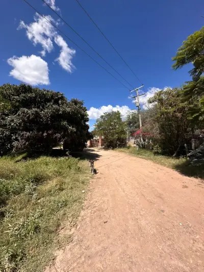Terreno en venta en Pedro Escobedo - foto 5