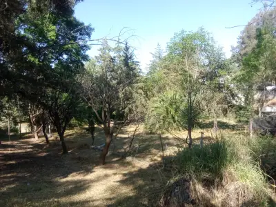 Precioso terreno arbolado con vista excepcional