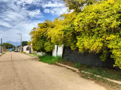 Terreno en venta en Santa Cruz Xoxocotlán - foto 3